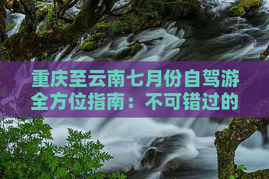 重庆至云南七月份自驾游全方位指南：不可错过的美食、特色文化与风光胜地