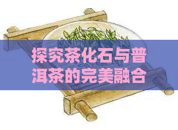 探究茶化石与普洱茶的完美融合：一种全新的冲泡方法和步骤