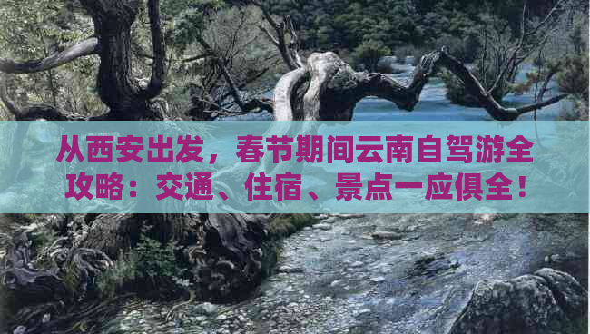 从西安出发，春节期间云南自驾游全攻略：交通、住宿、景点一应俱全！