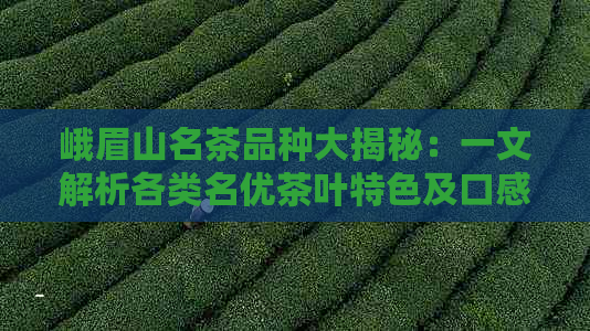 峨眉山名茶品种大揭秘：一文解析各类名优茶叶特色及口感