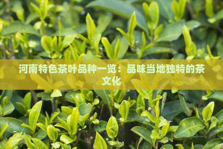 河南特色茶叶品种一览：品味当地独特的茶文化