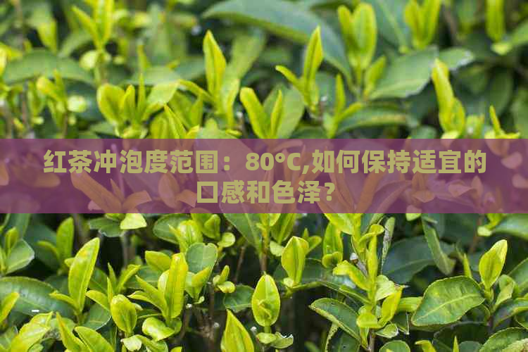 红茶冲泡度范围：80°C,如何保持适宜的口感和色泽？