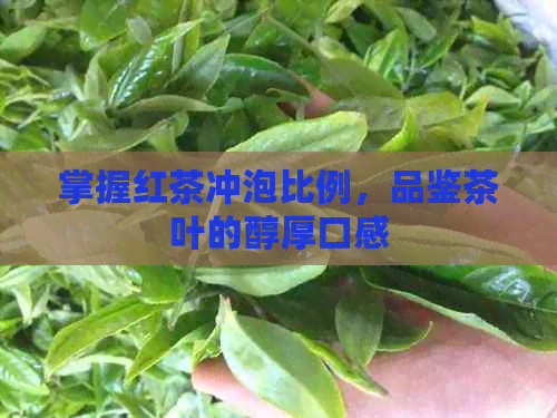 掌握红茶冲泡比例，品鉴茶叶的醇厚口感