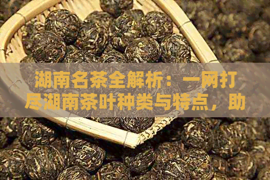 湖南名茶全解析：一网打尽湖南茶叶种类与特点，助你轻松选好茶