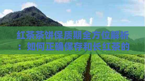 红茶茶饼保质期全方位解析：如何正确保存和长红茶的新度？