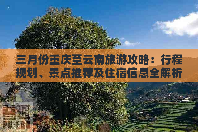 三月份重庆至云南旅游攻略：行程规划、景点推荐及住宿信息全解析