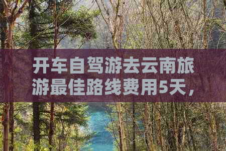 开车自驾游去云南旅游更佳路线费用5天，云南自驾游5天更佳路线攻略