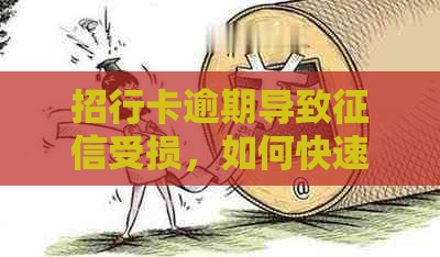 招行卡逾期导致受损，如何快速恢复信用并解决问题？