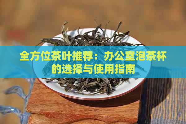 全方位茶叶推荐：泡茶杯的选择与使用指南