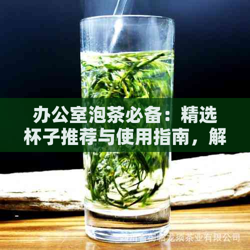 泡茶必备：精选杯子推荐与使用指南，解决用户所有相关问题