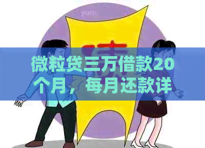 微粒贷三万借款20个月，每月还款详细金额及计算方式解析