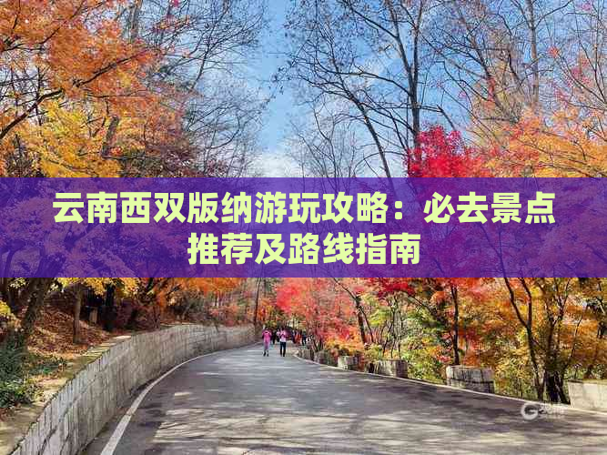 云南西双版纳游玩攻略：必去景点推荐及路线指南