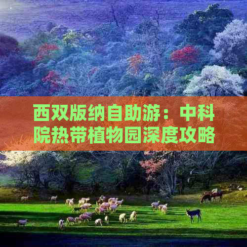 西双版纳自助游：中科院热带植物园深度攻略，探索热带雨林自然之美