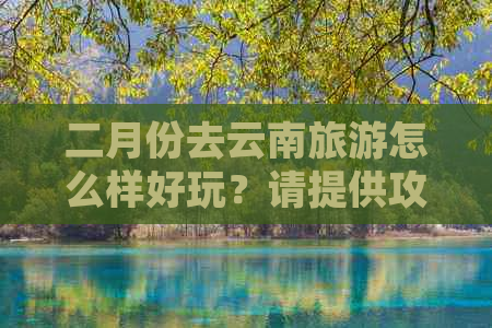 二月份去云南旅游怎么样好玩？请提供攻略。