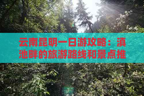 云南昆明一日游攻略：滇池畔的旅游路线和景点推荐