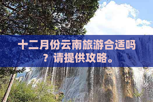 十二月份云南旅游合适吗？请提供攻略。