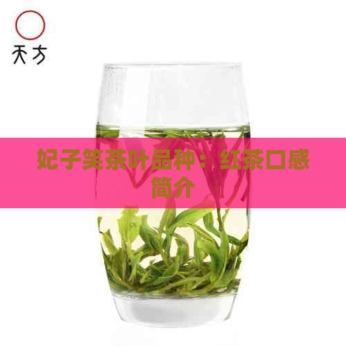 妃子笑茶叶品种：红茶口感简介