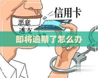 即将逾期了怎么办