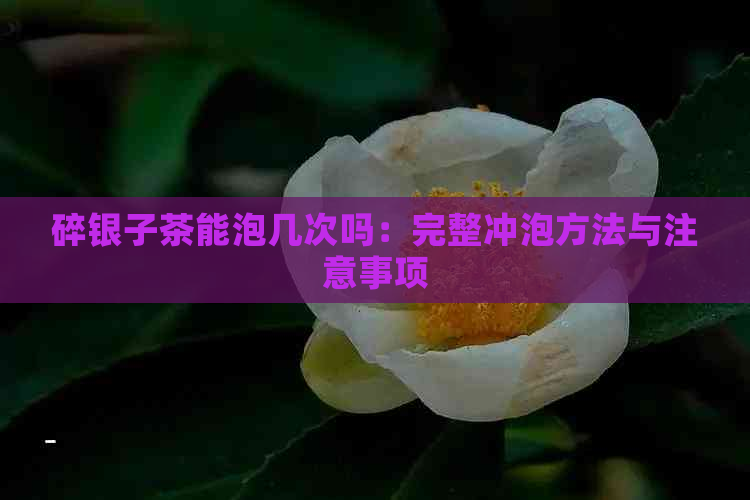 碎银子茶能泡几次吗：完整冲泡方法与注意事项