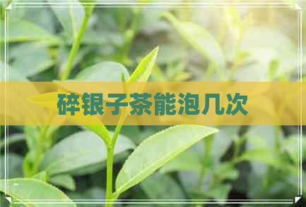 碎银子茶能泡几次