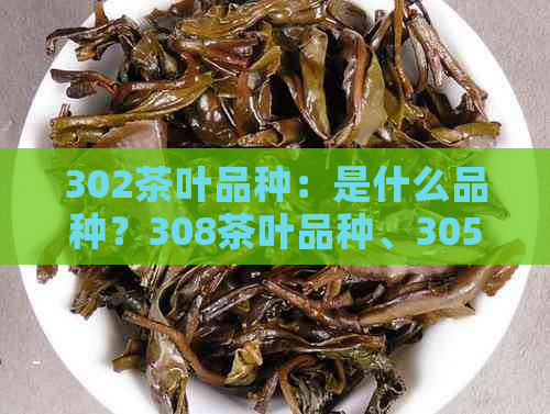 302茶叶品种：是什么品种？308茶叶品种、305茶叶属于什么品种？