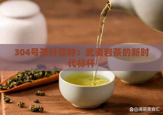 304号茶叶品种：武夷岩茶的新时代标杆