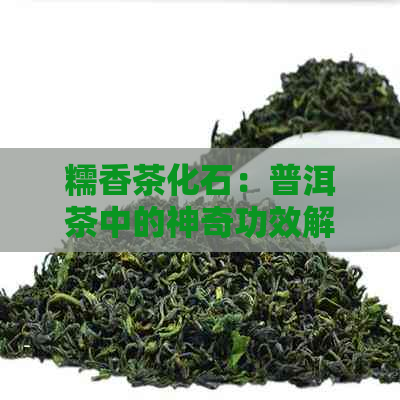 糯香茶化石：普洱茶中的神奇功效解析与禁忌