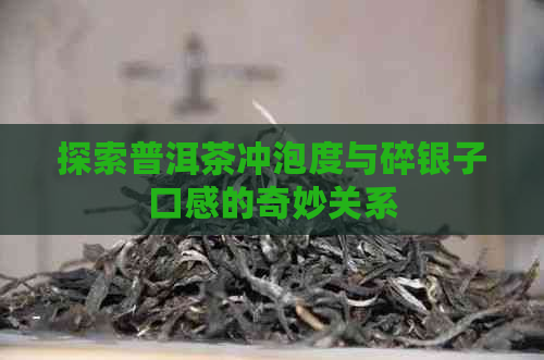 探索普洱茶冲泡度与碎银子口感的奇妙关系