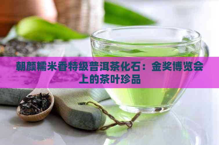 朝颜糯米香特级普洱茶化石：金奖博览会上的茶叶珍品