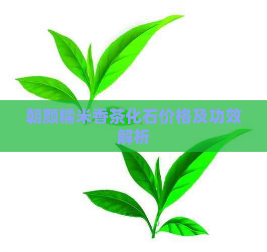 朝颜糯米香茶化石价格及功效解析