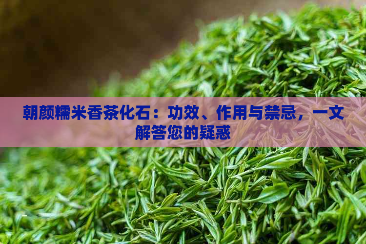 朝颜糯米香茶化石：功效、作用与禁忌，一文解答您的疑惑