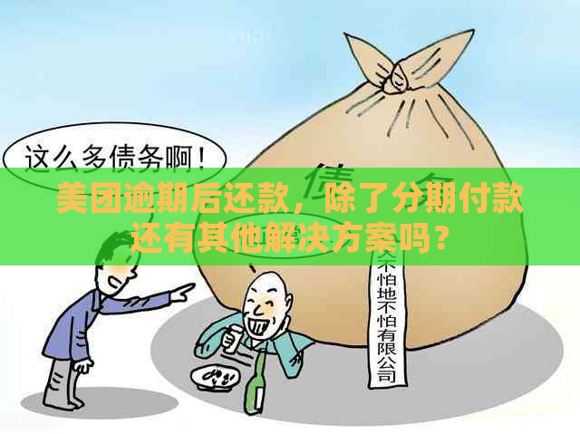 美团逾期后还款，除了分期付款还有其他解决方案吗？