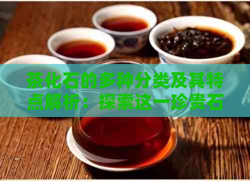 茶化石的多种分类及其特点解析：探索这一珍贵石材的奥秘