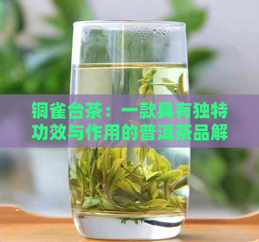 铜雀台茶：一款具有独特功效与作用的普洱茶品解析