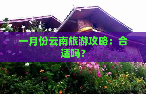 一月份云南旅游攻略：合适吗？