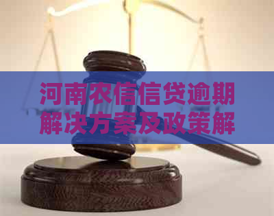 河南农信信贷逾期解决方案及政策解读：信用社如何应对农村贷款需求