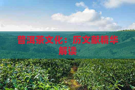 普洱茶文化：历文献精华解读