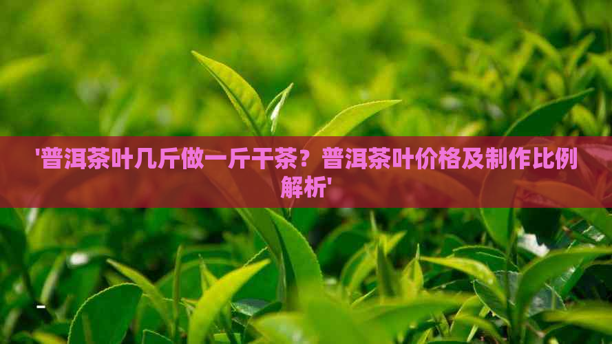 '普洱茶叶几斤做一斤干茶？普洱茶叶价格及制作比例解析'