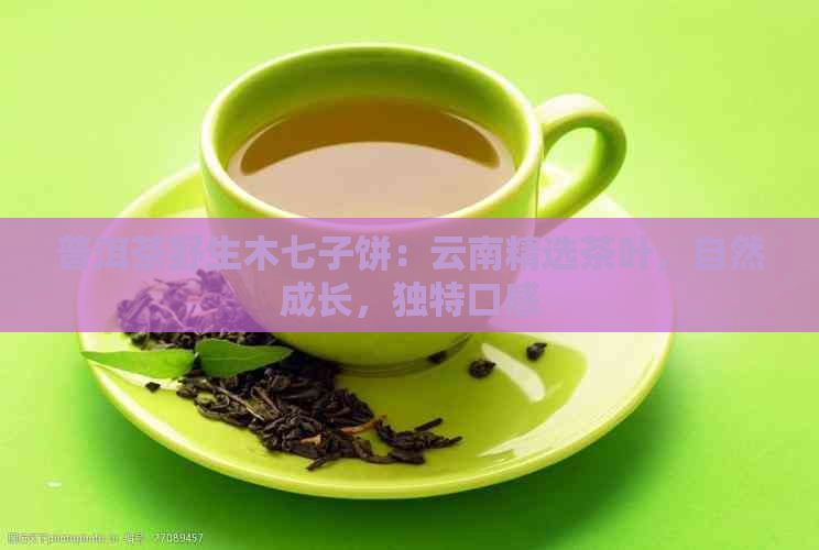 普洱茶野生木七子饼：云南精选茶叶，自然成长，独特口感