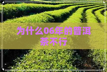 为什么06年的普洱茶不行