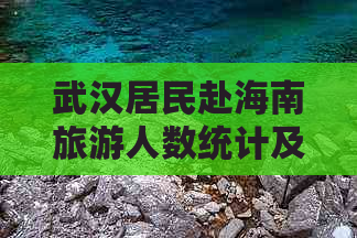 武汉居民赴海南旅游人数统计及旅游偏好分析报告