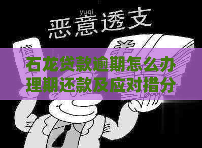 石龙贷款逾期怎么办理期还款及应对措分享