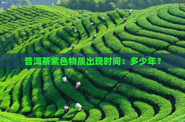 普洱茶紫色物质出现时间：多少年？