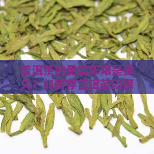 普洱茶的品尝年限是多久？如何存普洱茶以保持其口感？