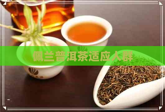 佩兰普洱茶适应人群