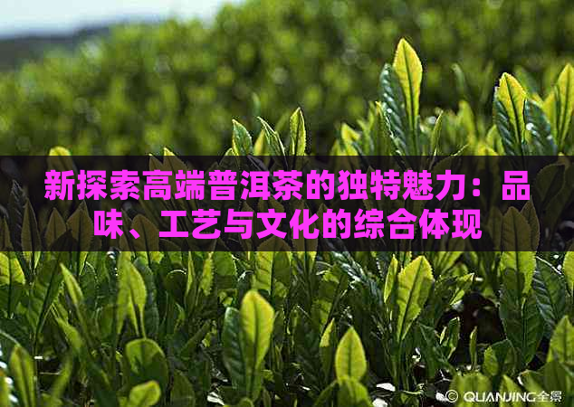 新探索高端普洱茶的独特魅力：品味、工艺与文化的综合体现