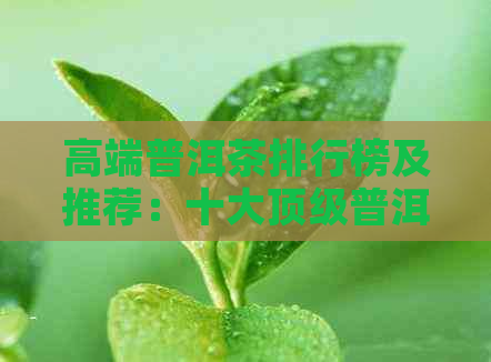 高端普洱茶排行榜及推荐：十大顶级普洱茶品鉴