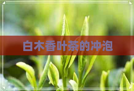 白木香叶茶的冲泡