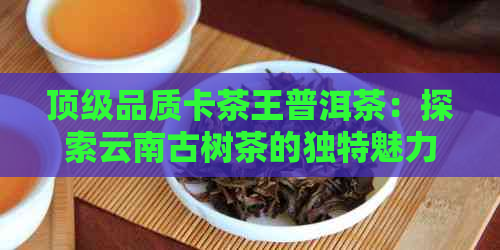 顶级品质卡茶王普洱茶：探索云南古树茶的独特魅力