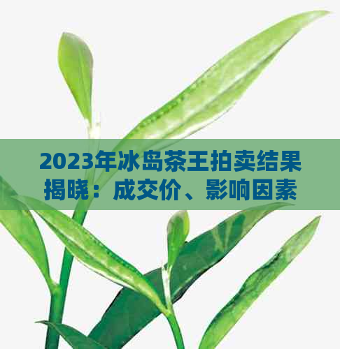 2023年冰岛茶王拍卖结果揭晓：成交价、影响因素及市场走势全面解析